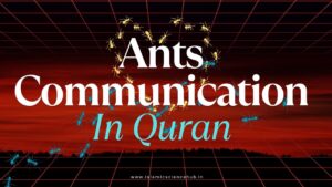 Ants in Quran,