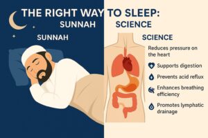 Prophetic sleep,sunnah sleep,sleep posture in islam, sleeping on right side benefits,sunnah and science,