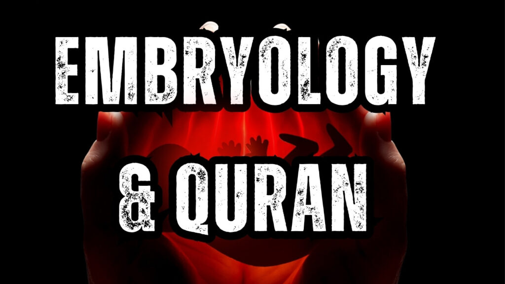 Embryology in the Quran, Quran and embryology, Embryonic stages in Quran, Human development in Islam, Stages of fetus in Quran