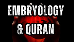 Embryology in the Quran, Quran and embryology, Embryonic stages in Quran, Human development in Islam, Stages of fetus in Quran