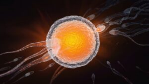Embryology in the Quran,