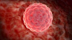 Embryology in the Quran, Quran and embryology, Embryonic stages in Quran, Human development in Islam, Stages of fetus in Quran