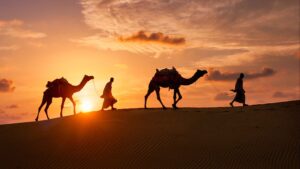 animals in the Qur'an and science