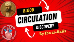 islamic discovery of blood circulation,Ibn al-Nafis blood circulation,Qur’anic metaphors circulation,pre-Harvey blood circulation theory,Avicenna heart function insights,