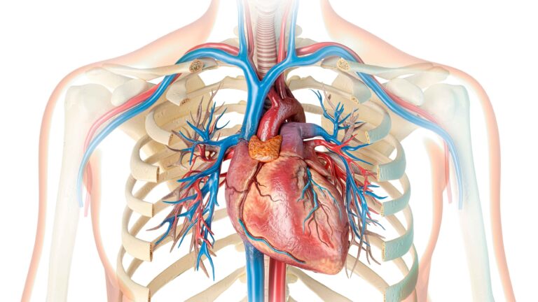 Qur’anic metaphors circulation,